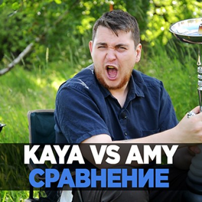 Kaya и Amy год спустя. Сравнение